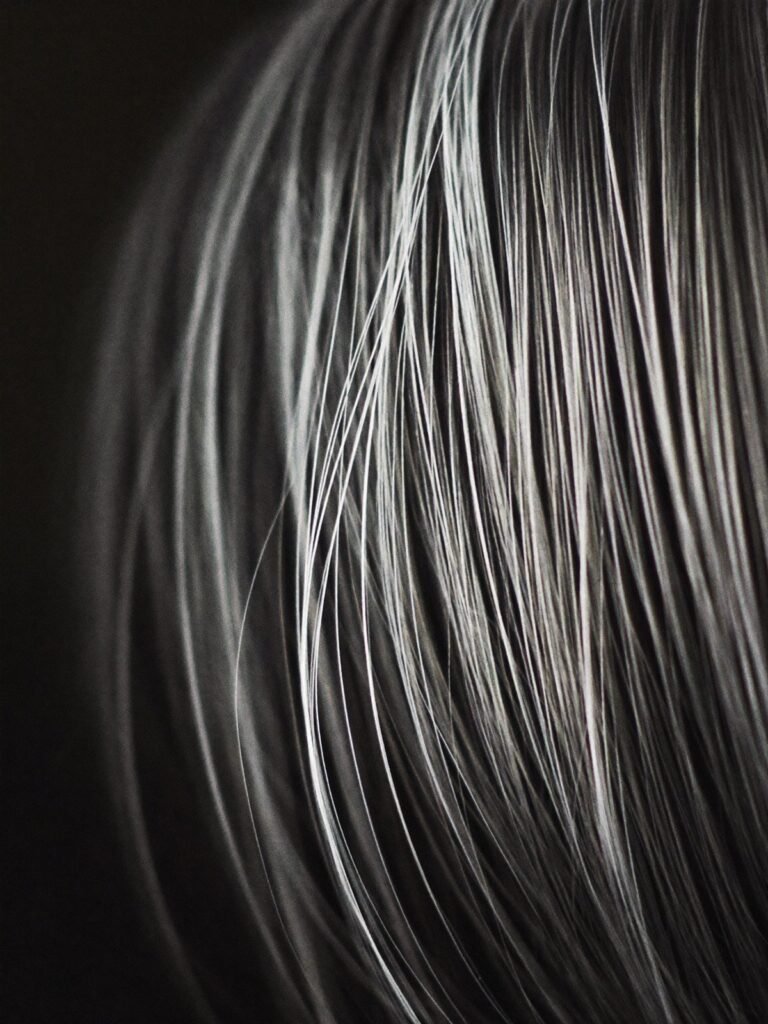 Close-up macro of silver grey hair strands running through dark black hair
