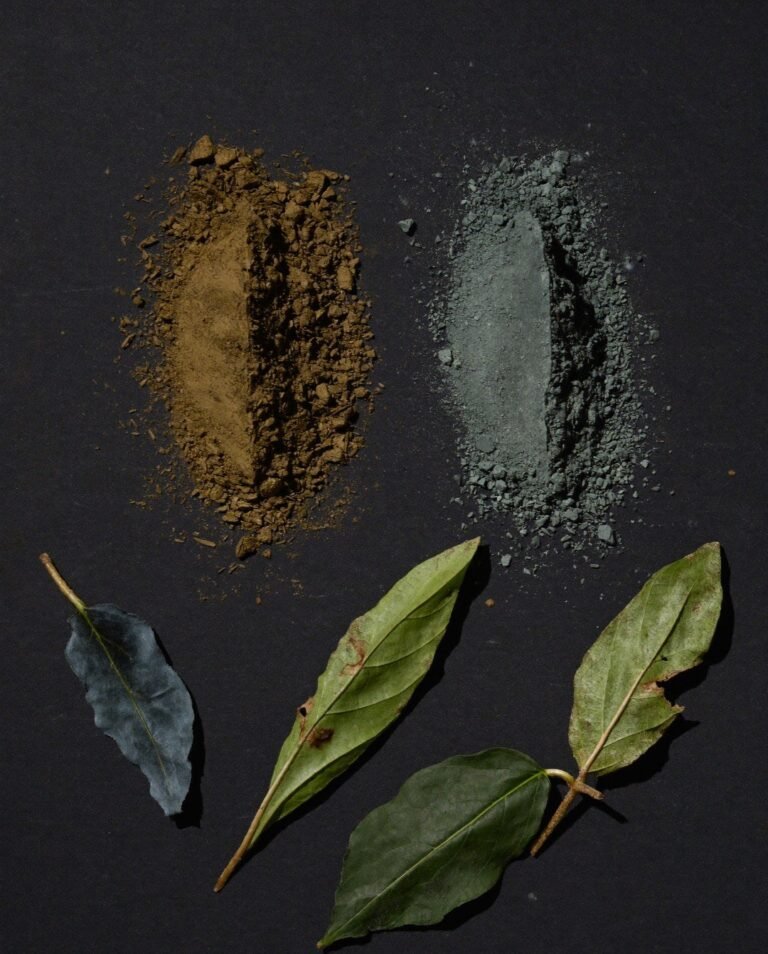 Henna powder and indigo powder side by side on dark slate with dried leaves